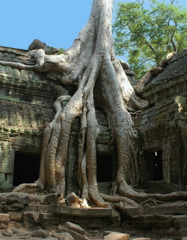 Камбоджа, заброшенный город Анкор Ват